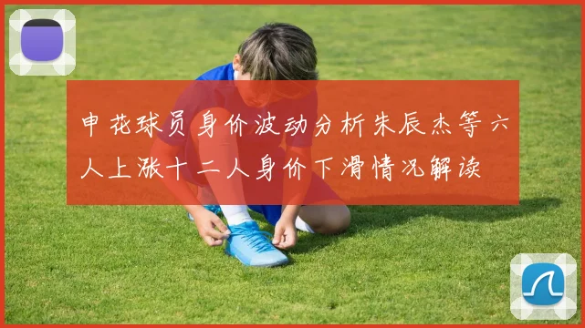 申花球员身价波动分析朱辰杰等六人上涨十二人身价下滑情况解读